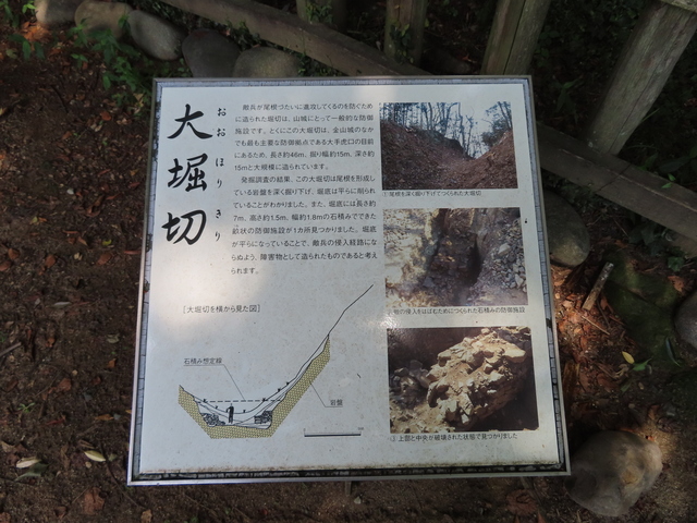 IMG_6706.JPG