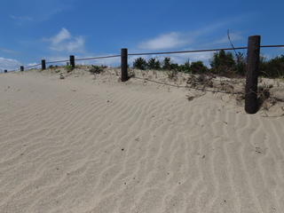 IMG_6734.JPG