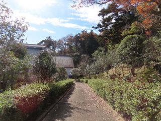 IMG_6925.JPG
