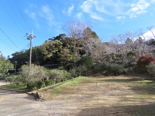 IMG_6936.JPG