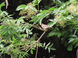 IMG_6946.JPG