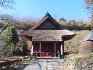 IMG_7063.JPG