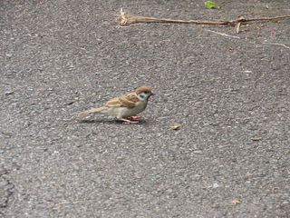 IMG_7146.JPG