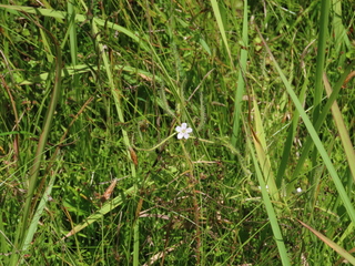 IMG_7281.JPG
