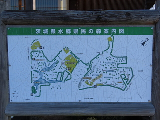 IMG_7294.JPG
