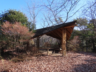 IMG_7296.JPG