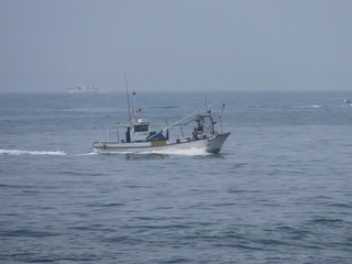 IMG_7301.JPG