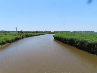 IMG_7475.JPG