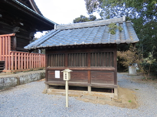 IMG_7554.JPG
