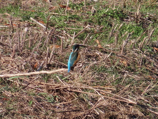 IMG_7592.JPG