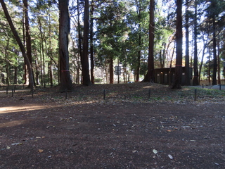 IMG_7700.JPG