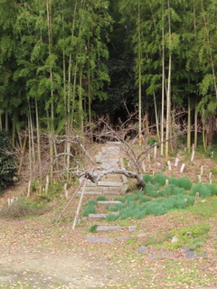 IMG_7701.JPG