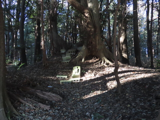 IMG_7864.JPG