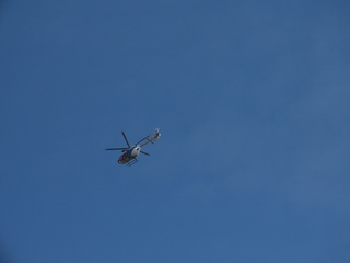 IMG_7969.JPG