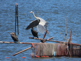IMG_7987.JPG