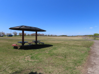 lawn square