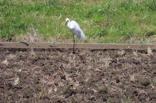 IMG_8027.JPG