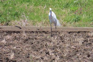 IMG_8028.JPG