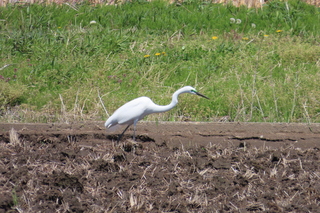IMG_8031.JPG