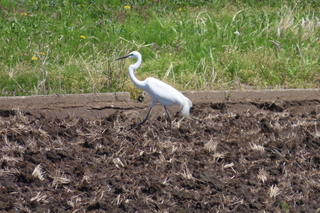 IMG_8038.JPG