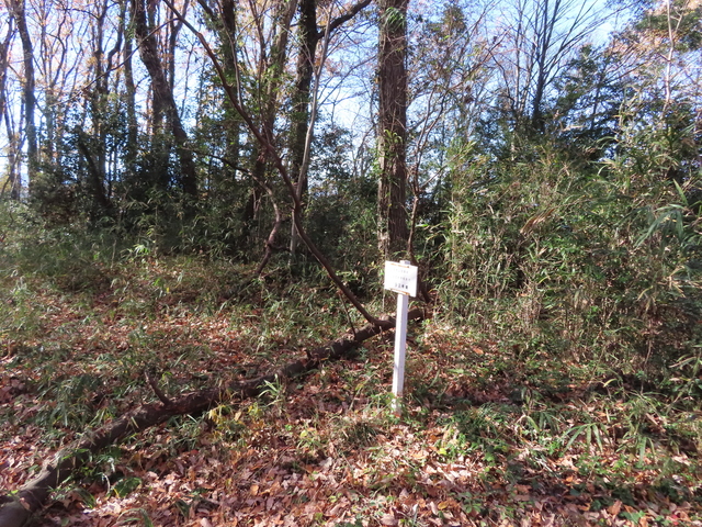 IMG_8155.JPG