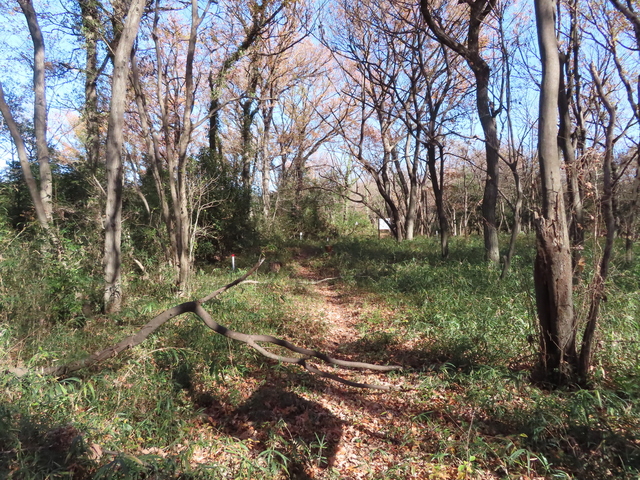 IMG_8169.JPG