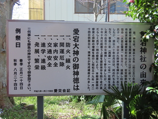IMG_8175.JPG