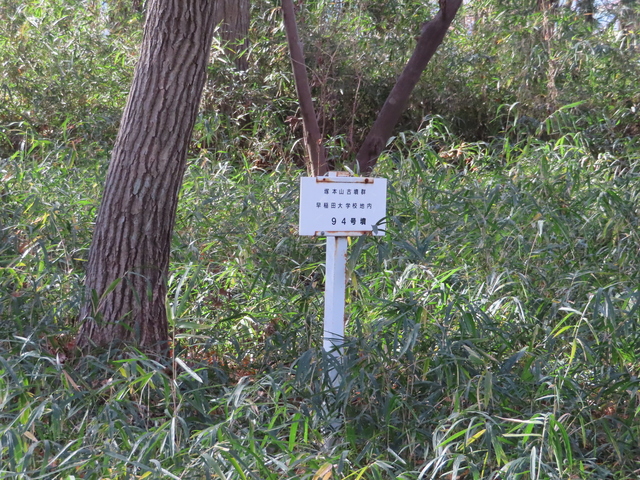 IMG_8178.JPG
