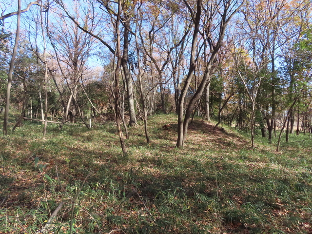 IMG_8184.JPG