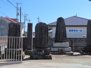 IMG_8187.JPG