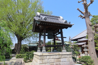 IMG_8248.JPG