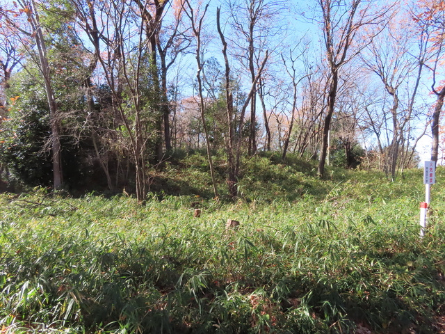 IMG_8273.JPG