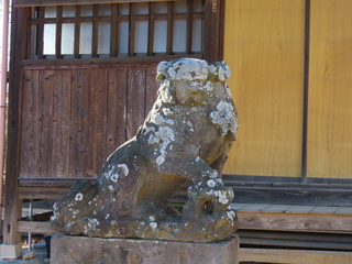 IMG_8301.JPG