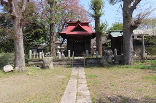 IMG_8307.JPG