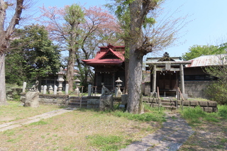 IMG_8314.JPG