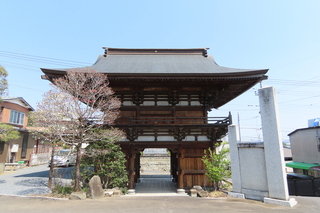 IMG_8331.JPG