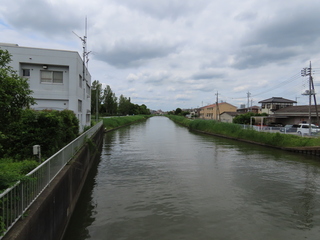 IMG_8344.JPG