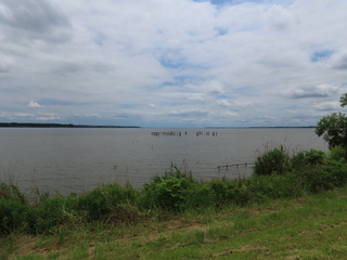 IMG_8353.JPG