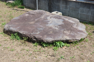 IMG_8354.JPG