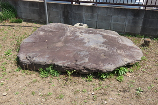 IMG_8355.JPG