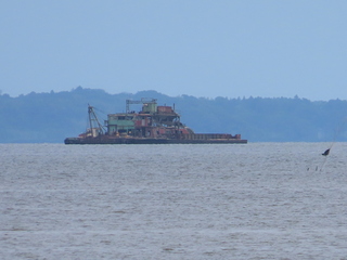 IMG_8372.JPG
