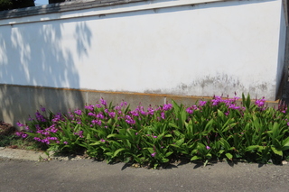 IMG_8404.JPG