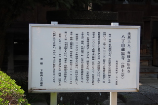 IMG_8411.JPG
