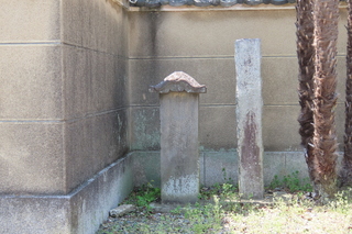 IMG_8419.JPG
