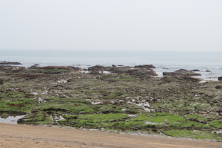 reef