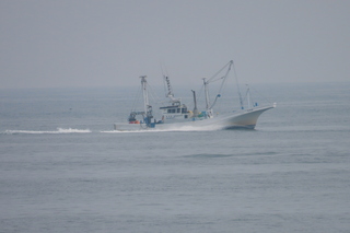 IMG_8605.JPG
