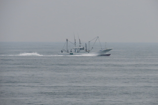 IMG_8620.JPG