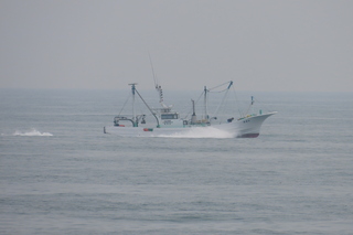 IMG_8635.JPG