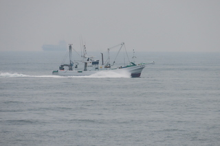 IMG_8636.JPG