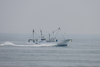 IMG_8640.JPG